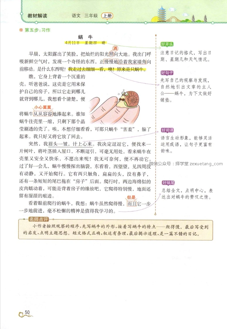 业余爱好者如何在有限时间内追求篮球技能提升_1